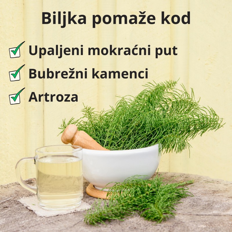 Stabljika Preslice - 70g