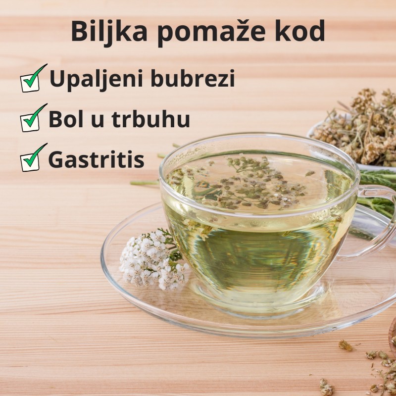 Bijeli Stolisnik - 50g