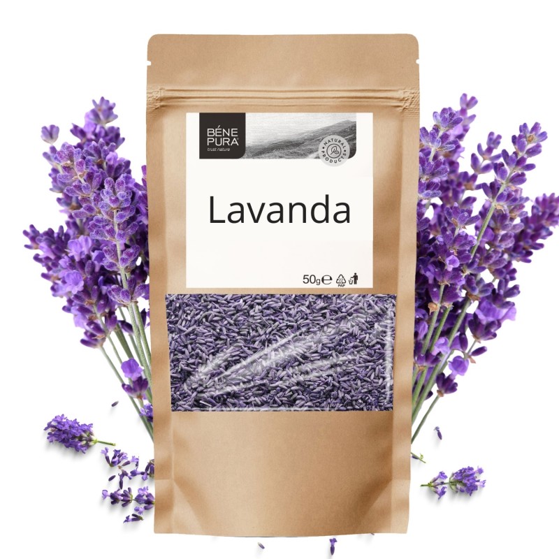 Lavanda - 50g - Biljke
