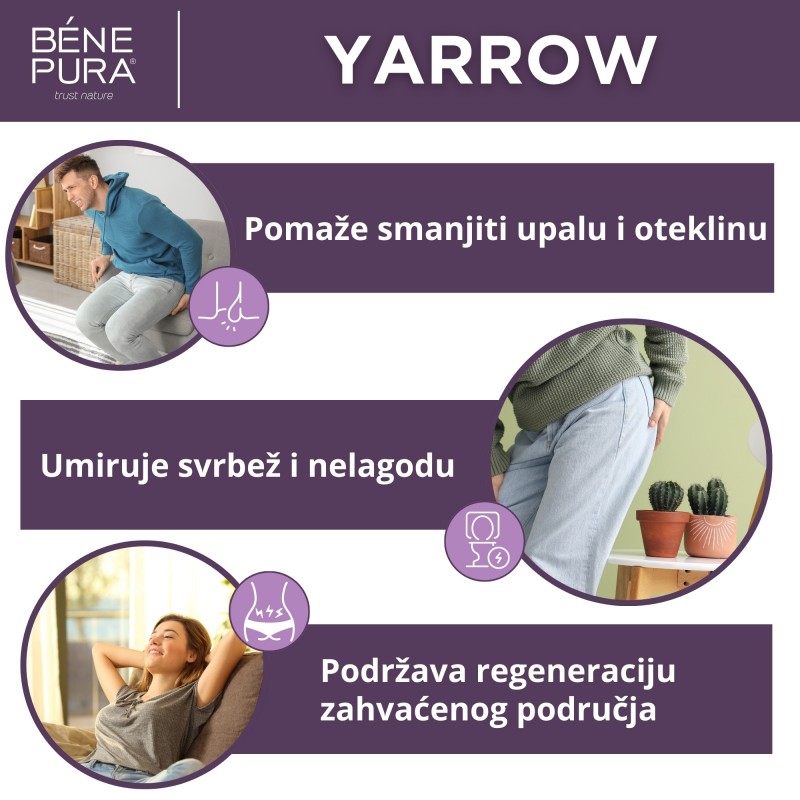 Set Masti za hemoroide