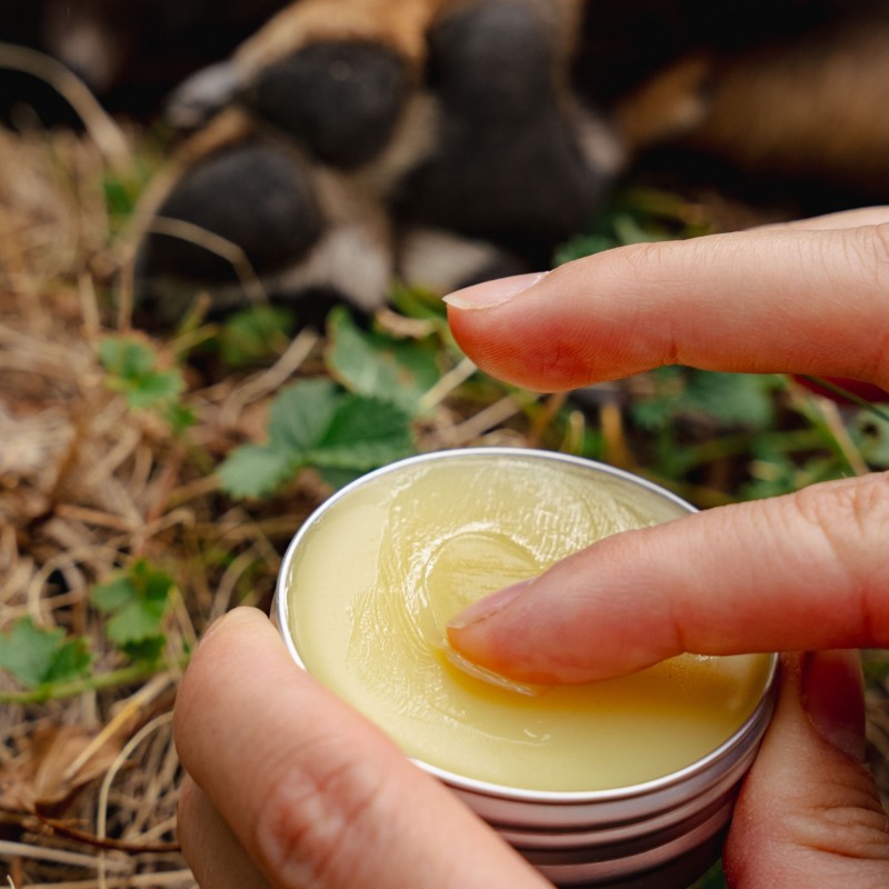 Balzam za Kućne Ljubimce Protiv Iritacija s Trputcem - 40ml