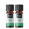 2x Bio Divlja Metvica Etericno ulje - 10ml