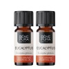 2x Bio Eukaliptus Globulus Etericno ulje - 10ml