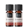 2x Bio Eukaliptus Radiata Etericno ulje - 10ml