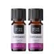 2x Bio Origano Etericno ulje - 10ml