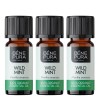 3x Bio Divlja Metvica Etericno ulje - 10ml