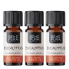 3x Bio Eukaliptus Globulus Etericno ulje - 10ml