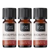 3x Bio Eukaliptus Radiata Etericno ulje - 10ml