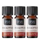 3x Bio Eukaliptus Radiata Etericno ulje - 5ml