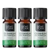 3x Bio Geranij Etericno ulje - 10ml