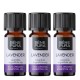 3x Bio Lavande Etericno ulje - 10ml
