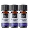 3x Bio Ružmarin Kamfor Etericno ulje - 10ml