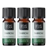 3x Bio Stolisnik Etericno ulje - 10ml