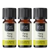 3x Bio Ylang-ylang Etericno ulje - 10ml