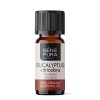 Bio Eukaliptus Limunski Etericno ulje - 10ml