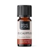 Bio Eukaliptus Radiata Etericno ulje - 10ml