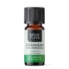 Bio Geranij Etericno ulje - 10ml