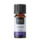 Bio Izop Etericno ulje - 5ml
