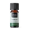 Bio Stolisnik Etericno ulje - 10ml