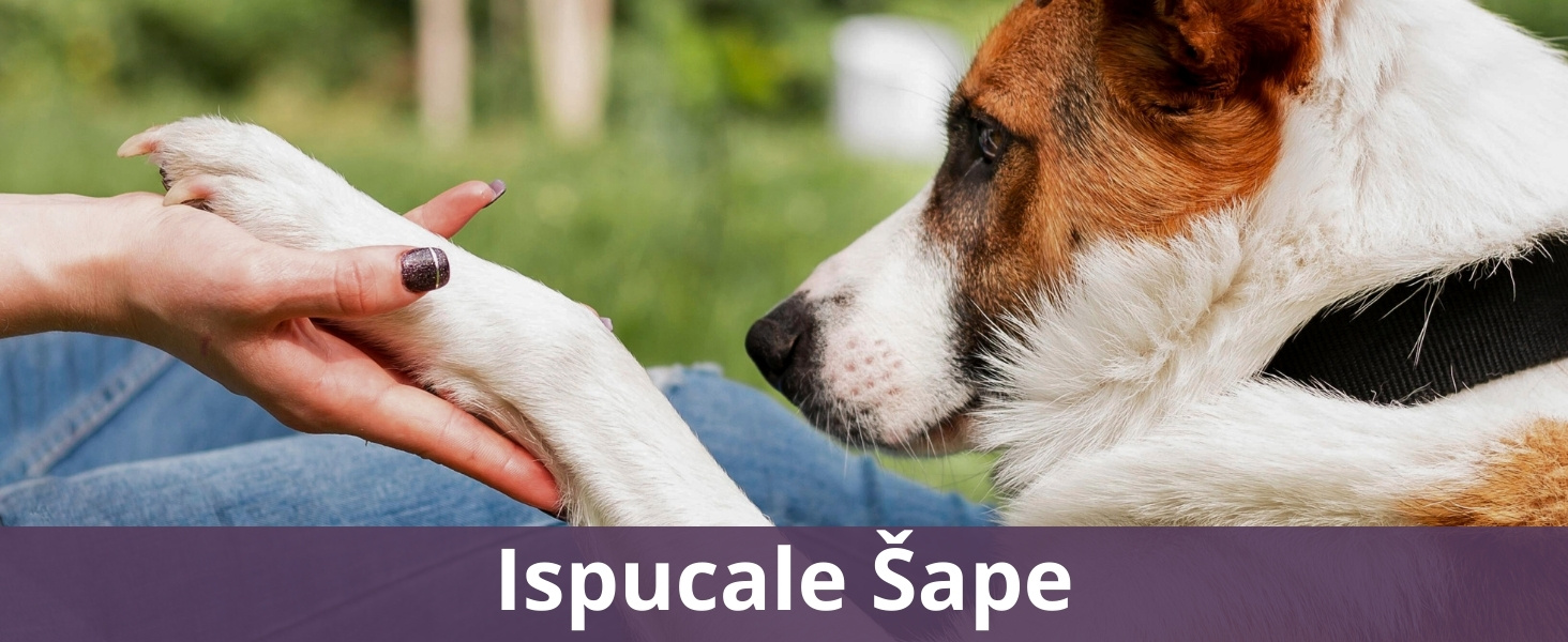 Ispucale Šape