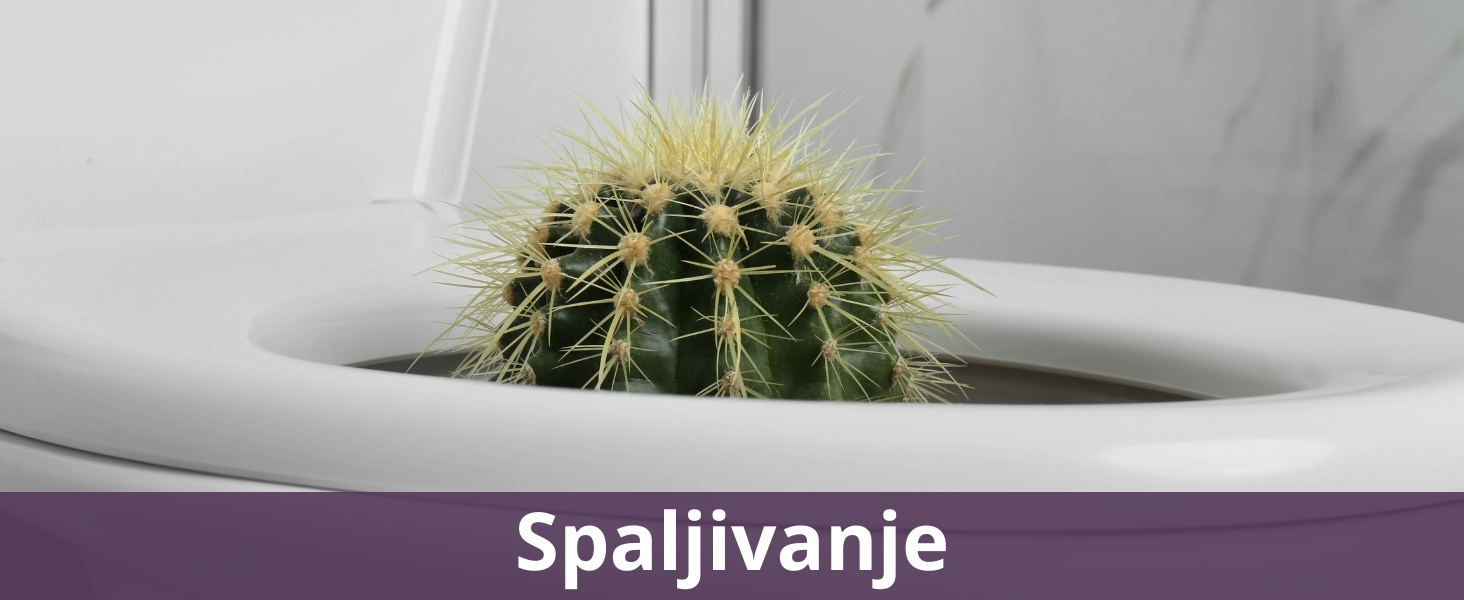 Spaljivanje