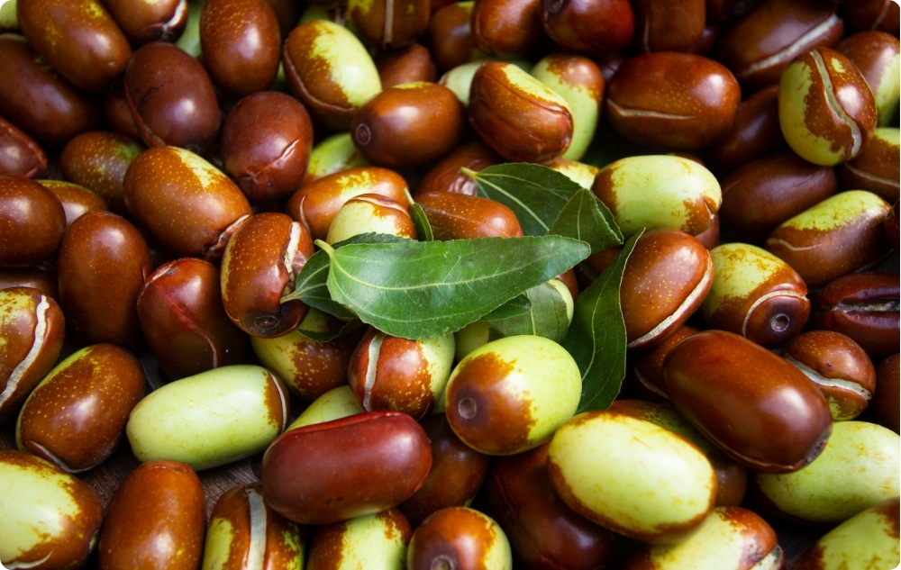 U čemu pomaže Jojoba Bazno ulje?