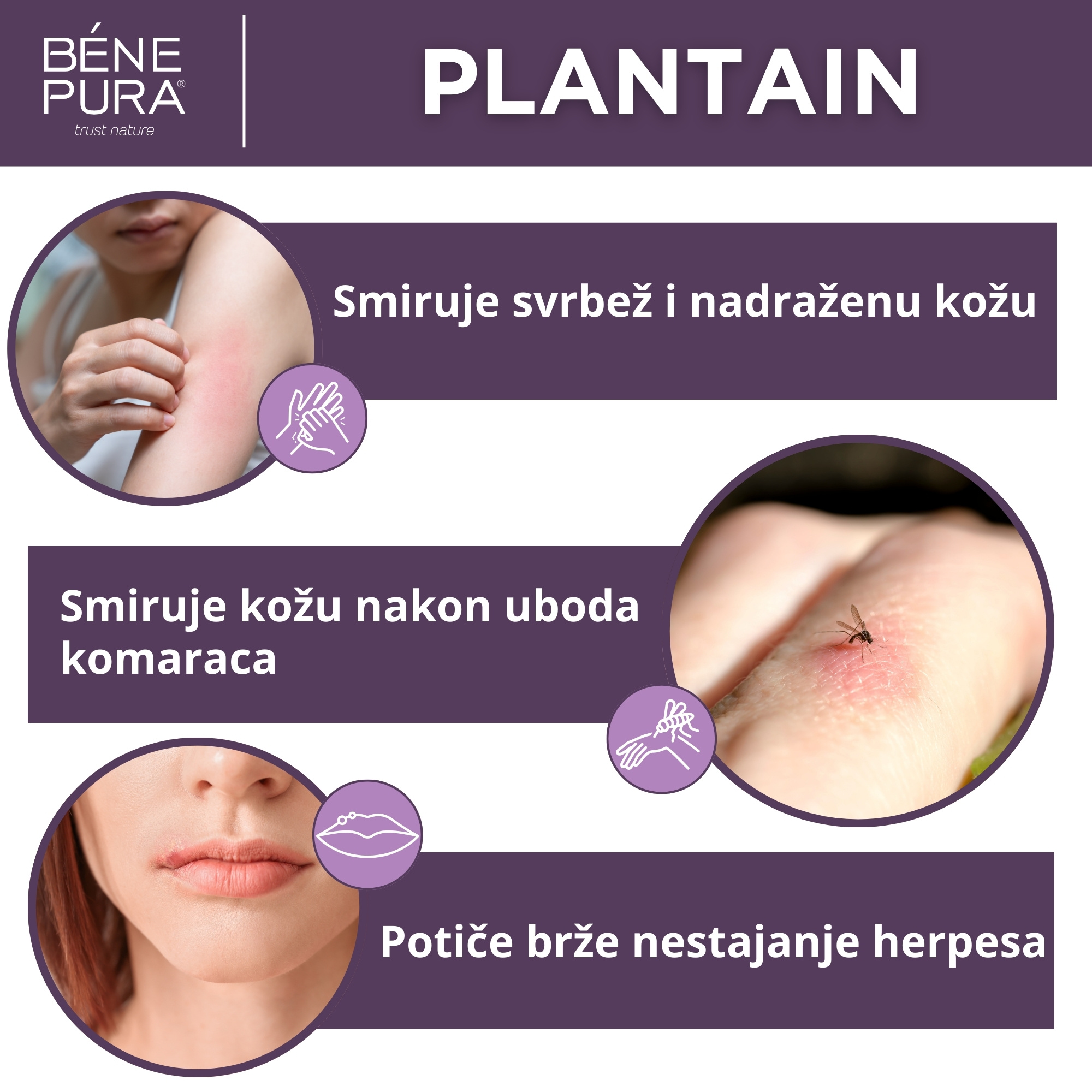 Set "Masti za svrbež"